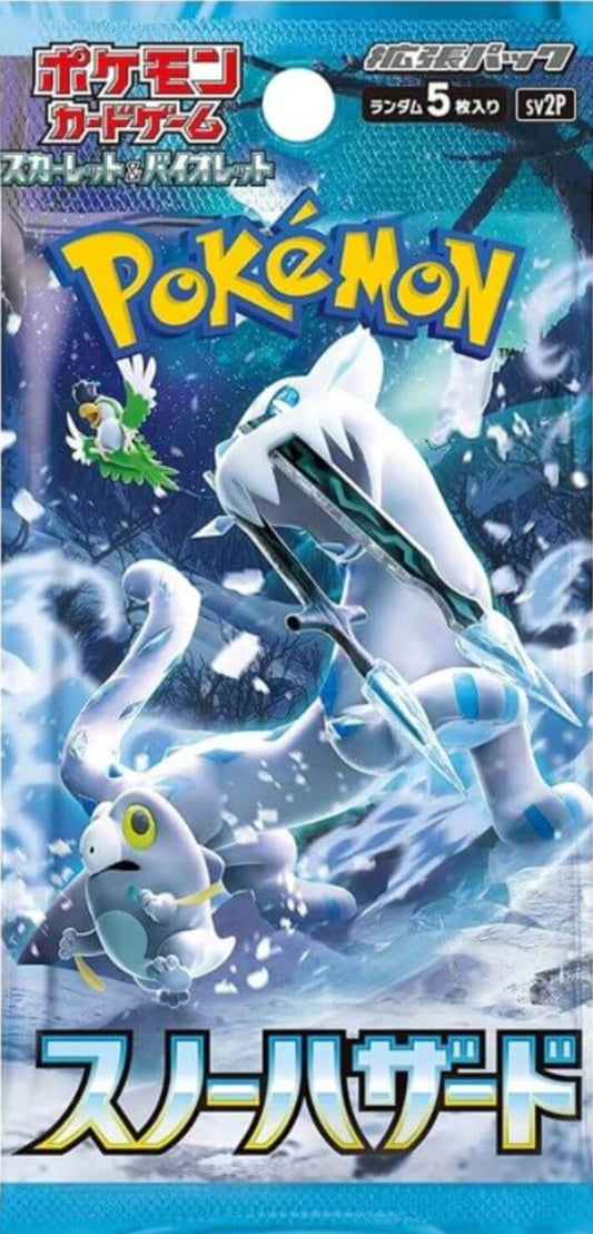 Snow Hazard